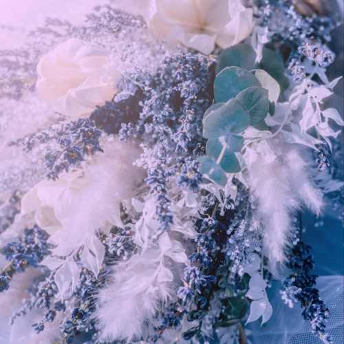 دانلود آهنگ ای بلیط ریشه دارم بردشیر سردیارم دانلود آهنگ ای بلیط ریشه دارم بردشیر سردیارم